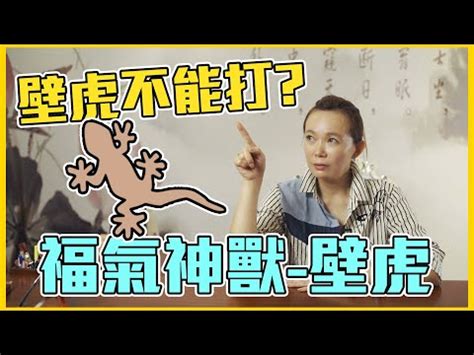 家中突然出現壁虎|【壁虎 風水】壁虎闖入你家不是偶然？風水學揭露3預。